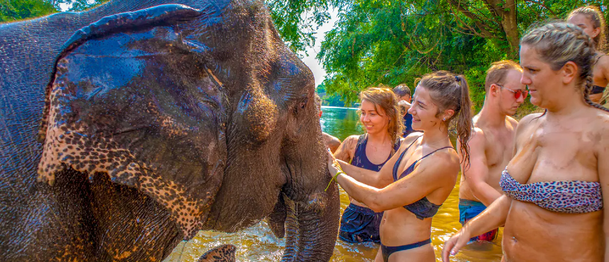 Joyful tourists bathe a large elephant in a muddy river at a sanctuary in Kanchanaburi, Thailand.