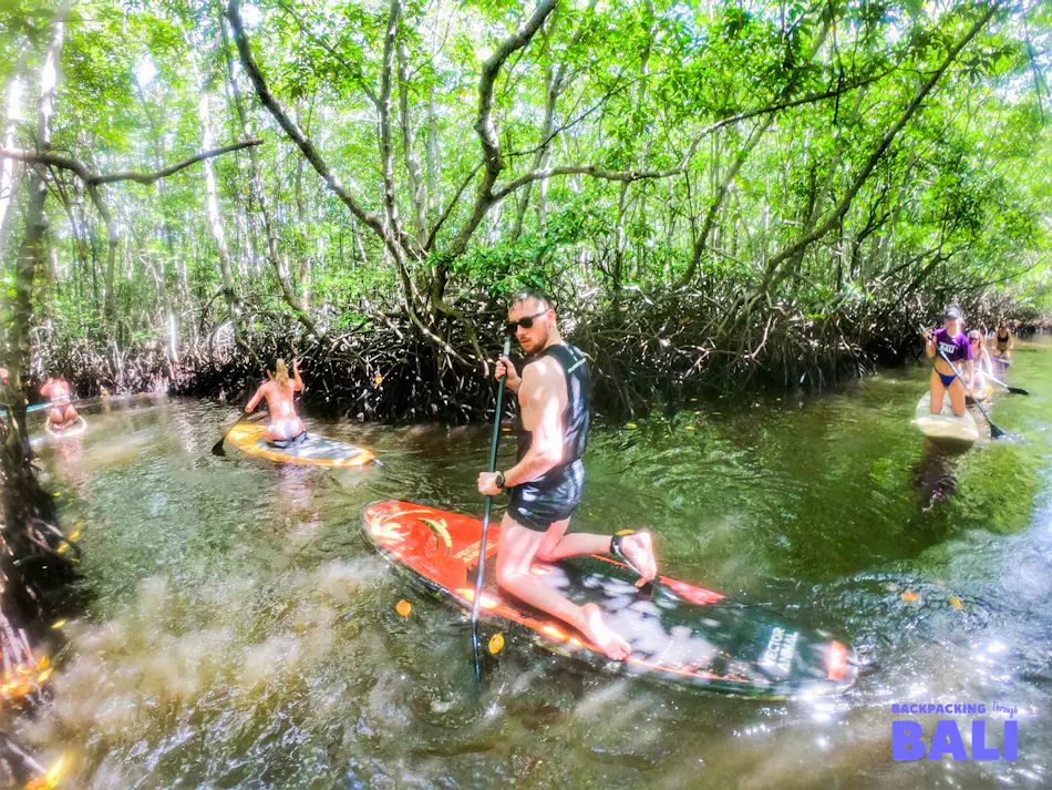 Adventurous travelers paddleboarding through a lush mangrove forest on Nusa Lembongan.