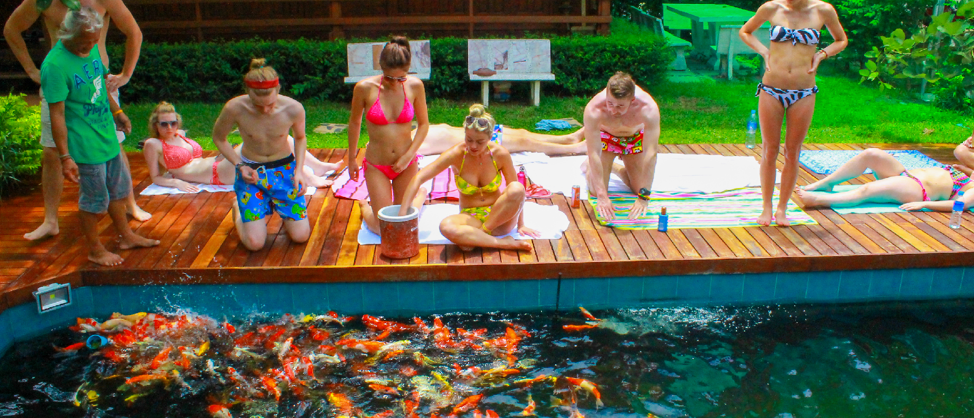A group of travelers feeds colorful koi fish from a wooden deck in Thailand.