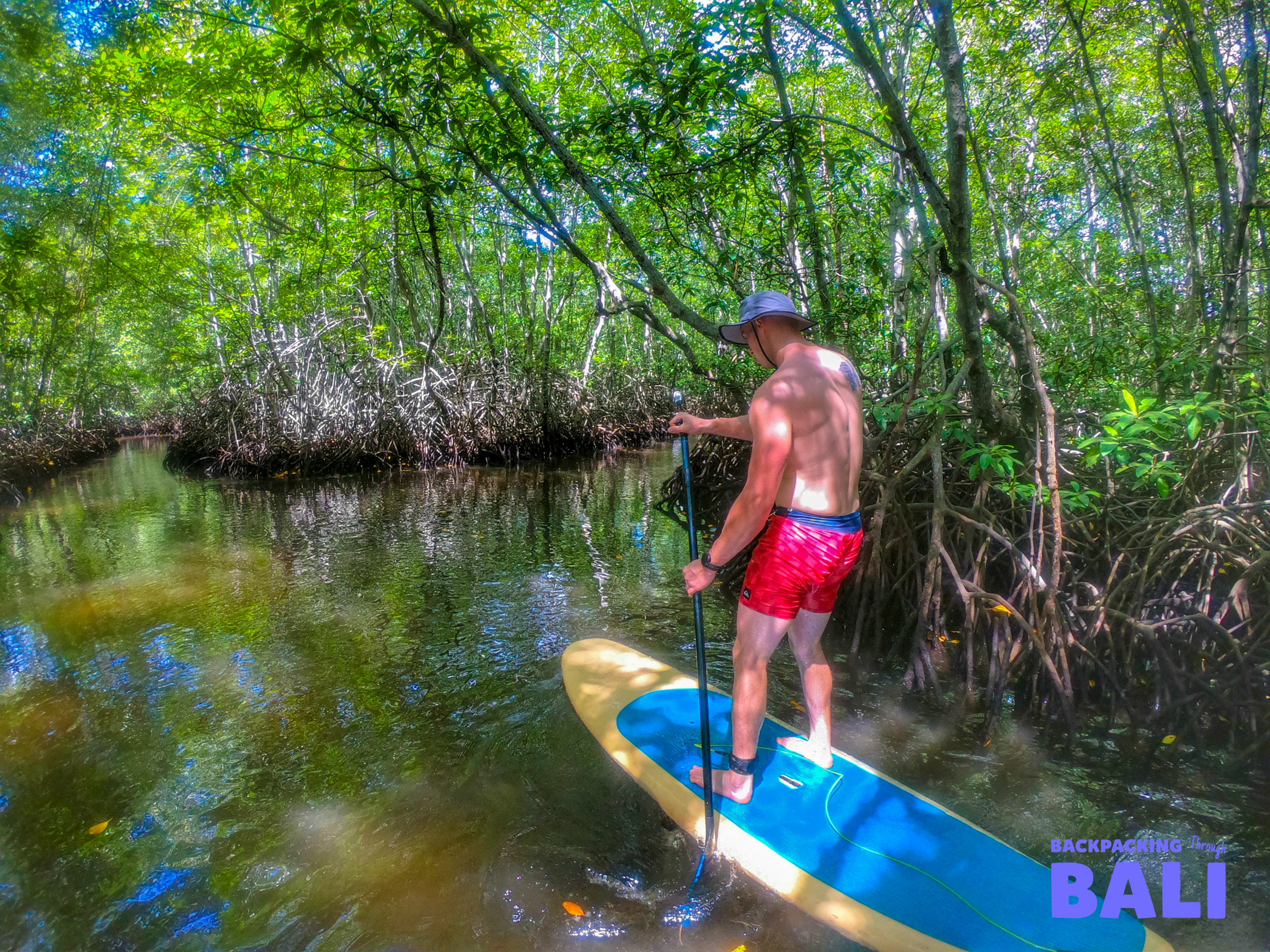 A man on a paddleboard glides through the lush green mangroves of Nusa Lembongan.