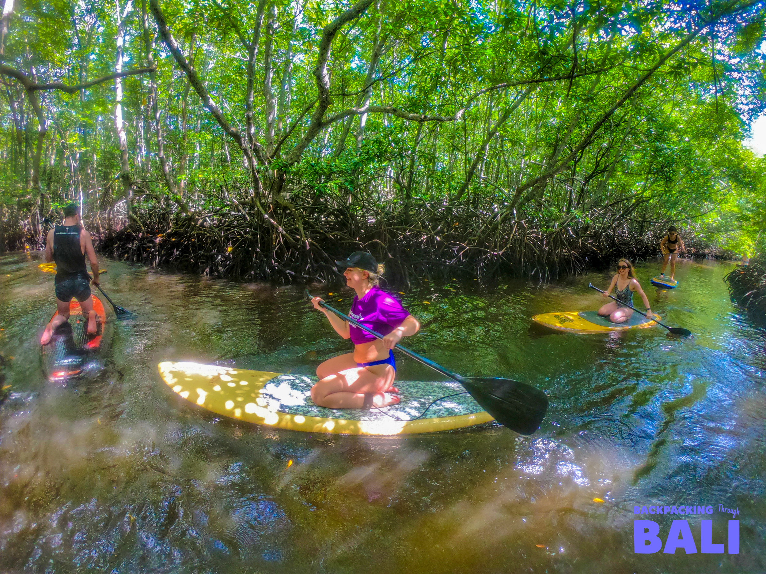 Travelers paddleboard through the lush mangrove forest waterways of Nusa Lembongan, enjoying a chill day.