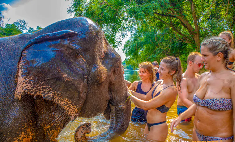 Happy tourists enjoy bathing and interacting with a large elephant in a river in Thailand.