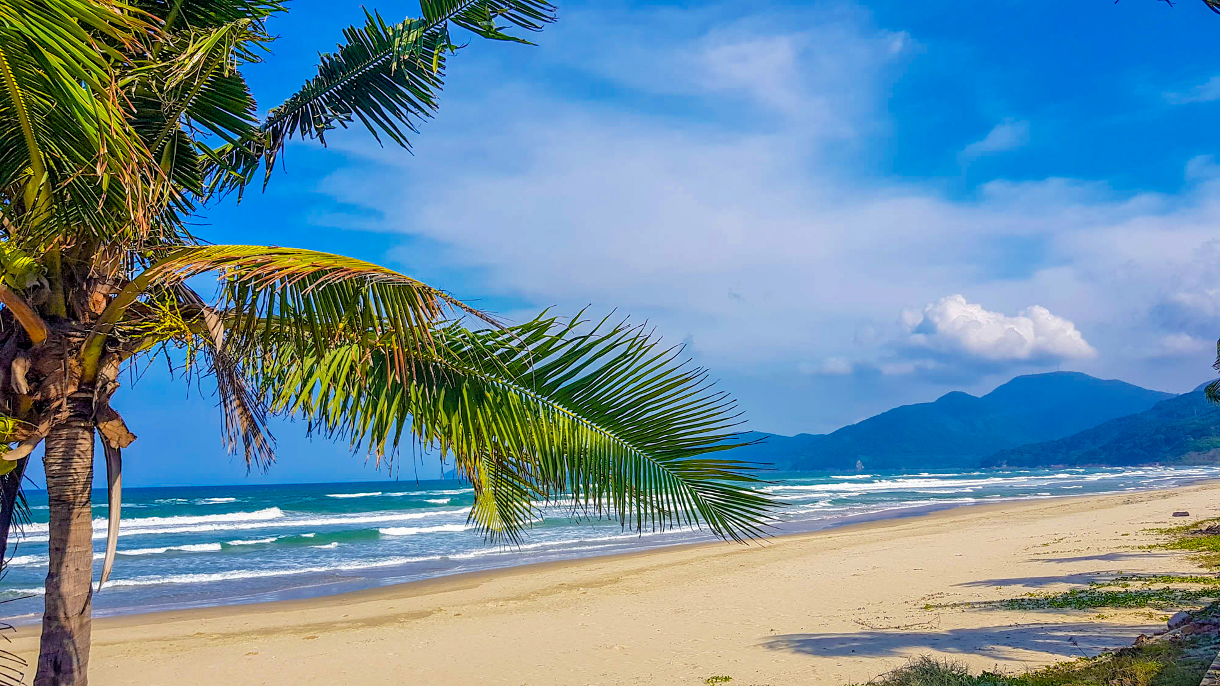 Palm trees frame the beautiful sandy beach and blue ocean waves in Hoi An, Vietnam.