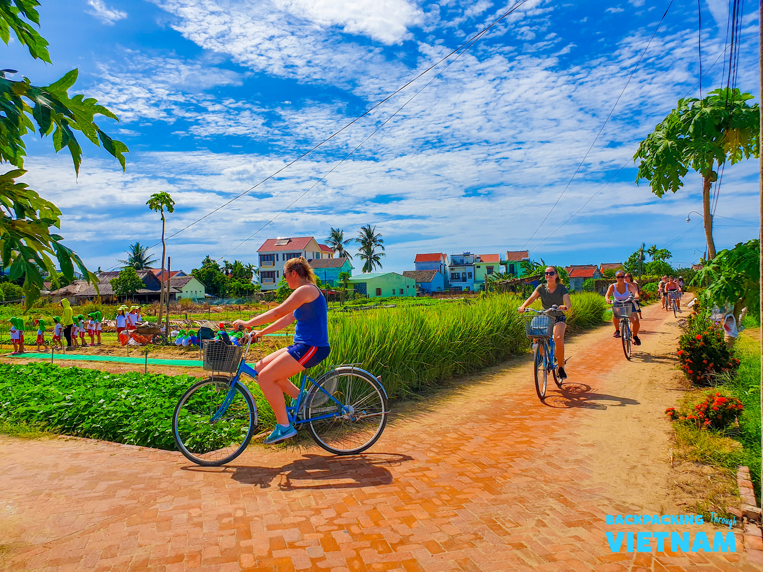 A group enjoys cycling through green rice fields under a bright blue sky in Hoi An, Vietnam.