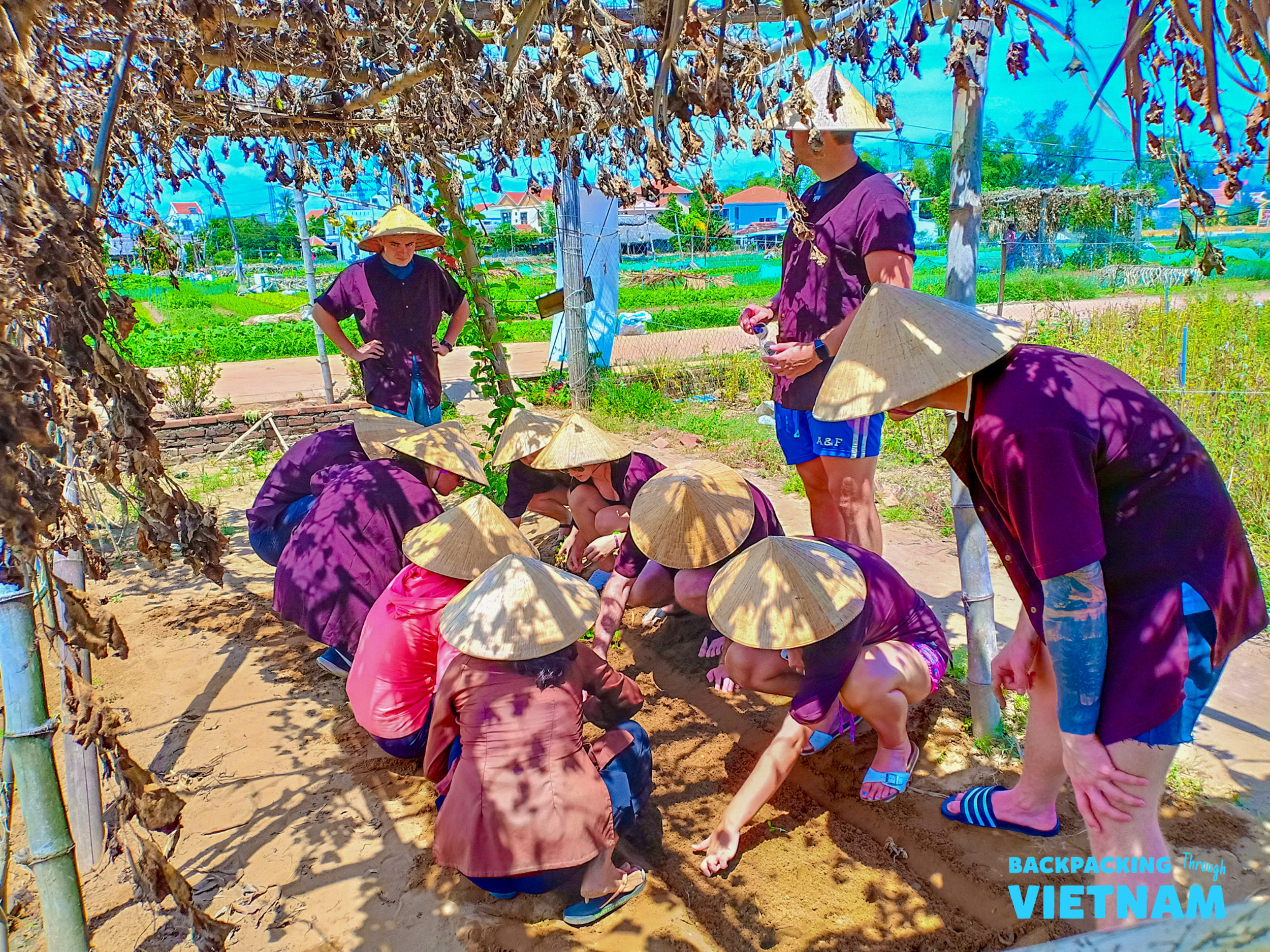 Travelers wearing traditional conical hats learn to farm in an organic garden in Hoi An, Vietnam.