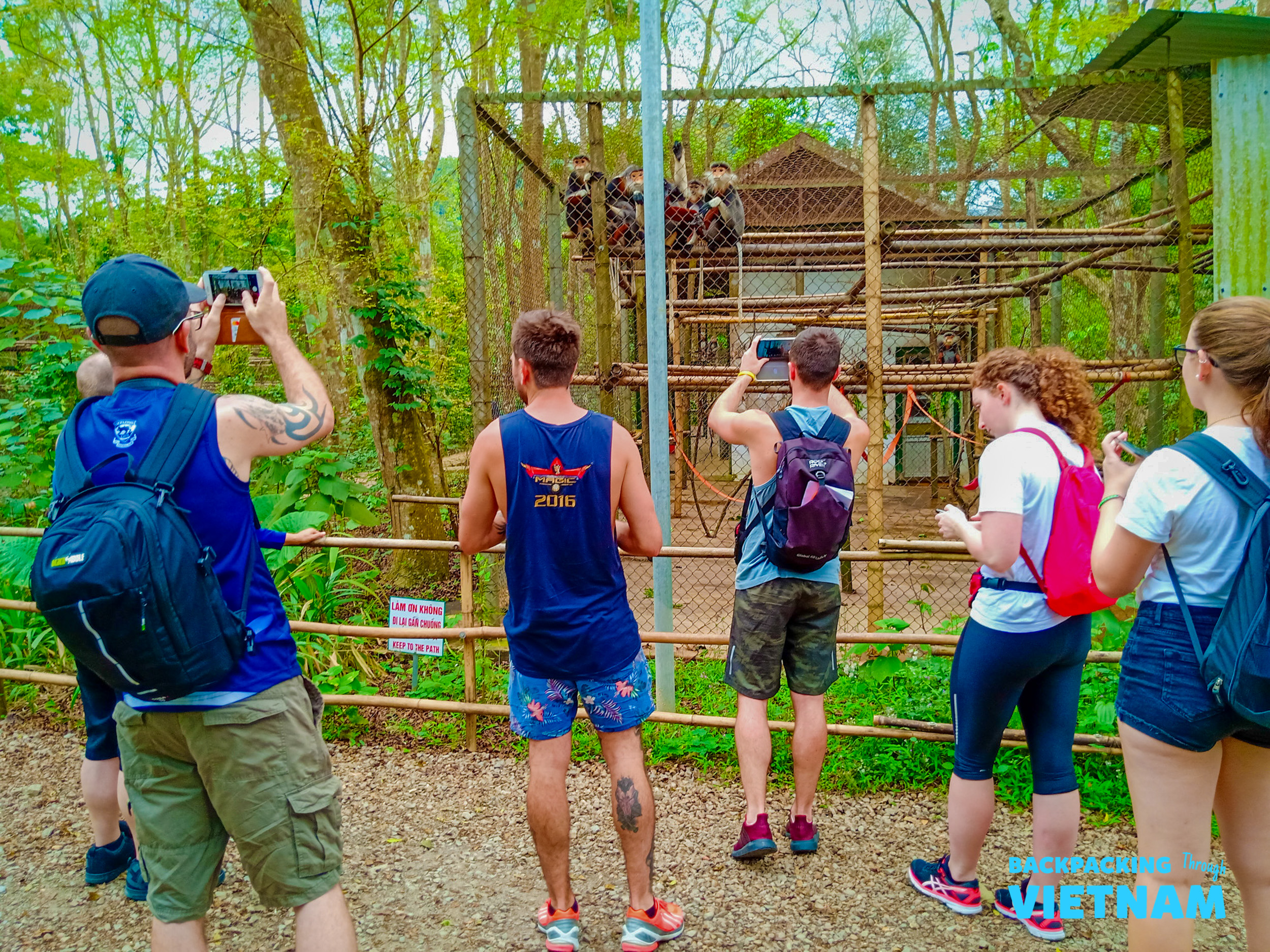 Tourists observe and photograph primates in an outdoor enclosure at a rescue centre in Phong Nha, Vietnam.