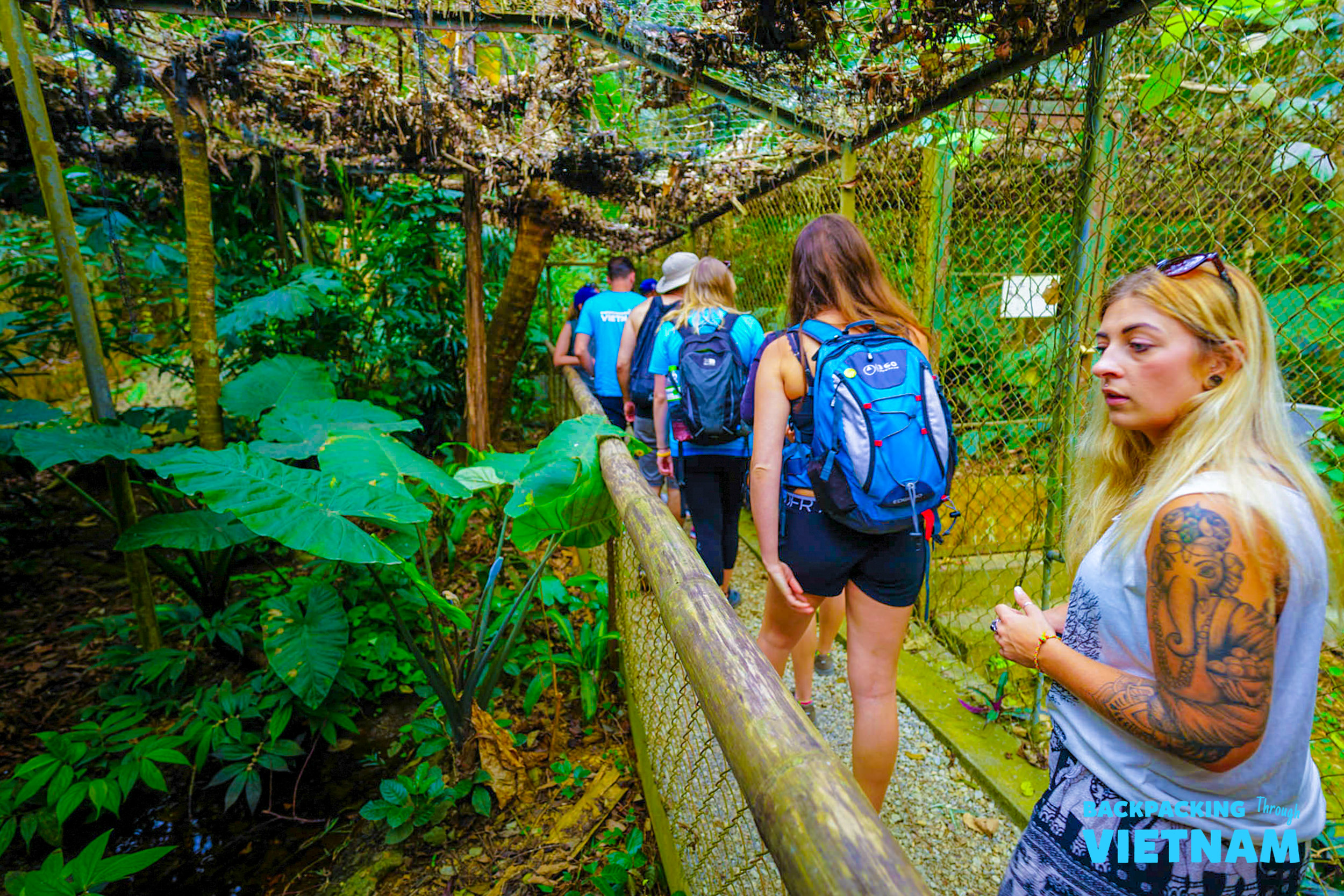 Backpackers trek through a lush jungle enclosure at the Primate Rescue Centre in Phong Nha.