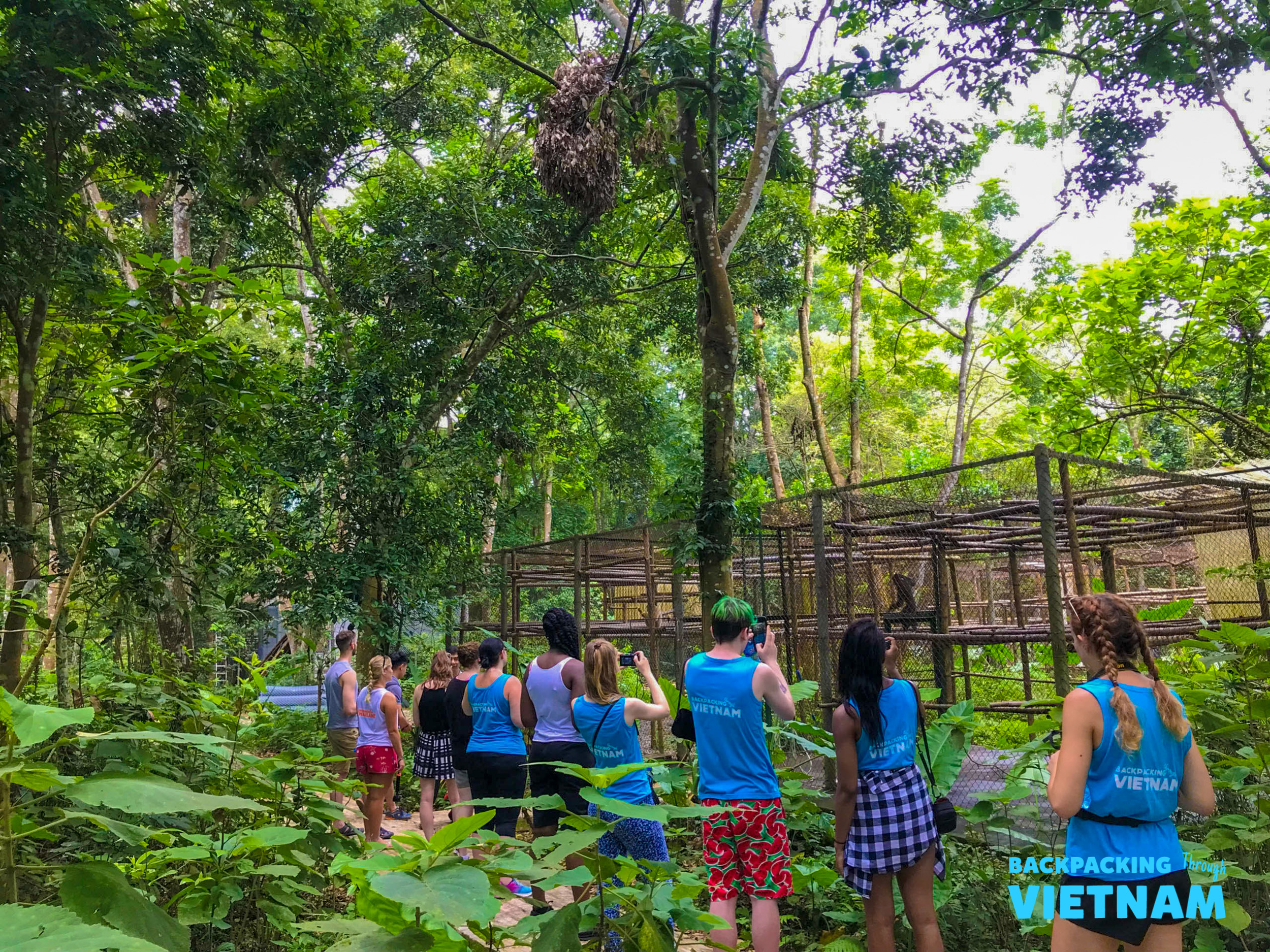 Backpackers watch primates in a jungle enclosure at the rescue centre in Phong Nha.