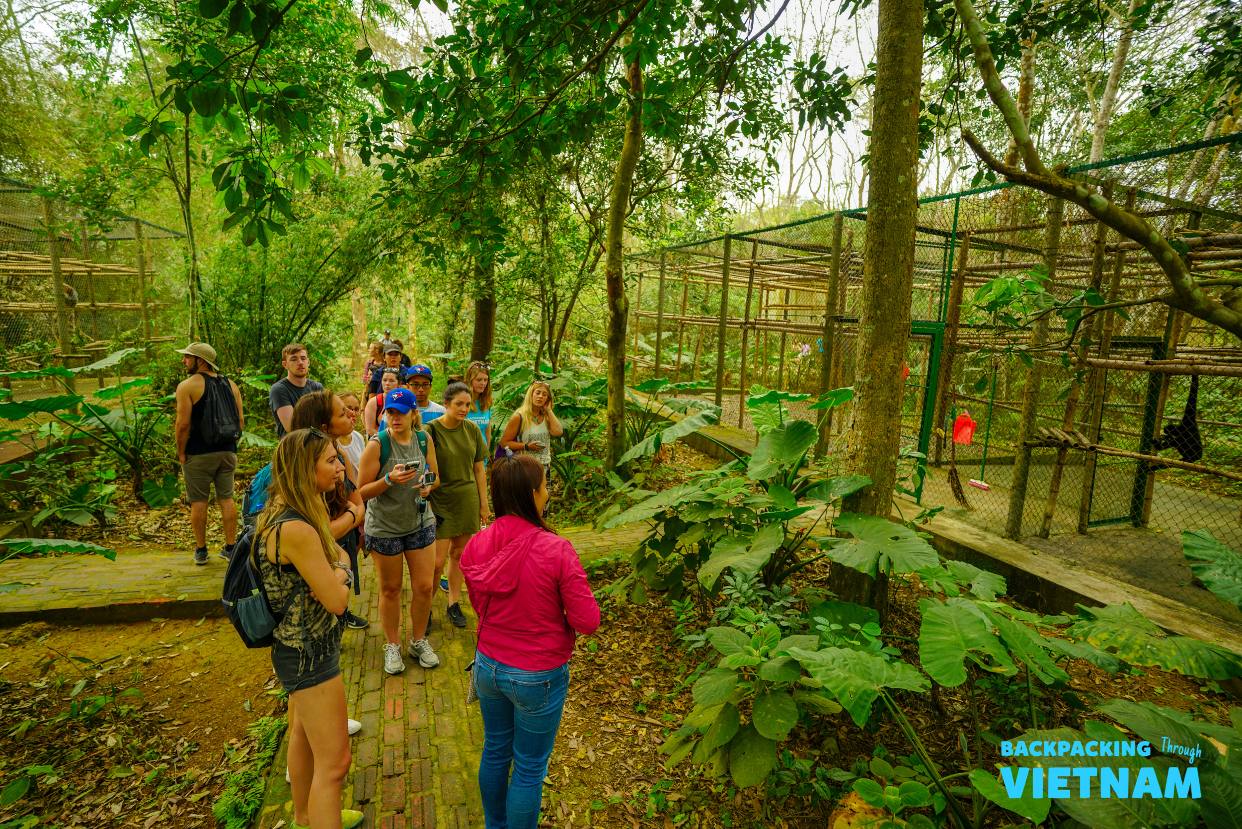 Tourists observe primates in large enclosures at a rescue centre in Phong Nha, Vietnam.