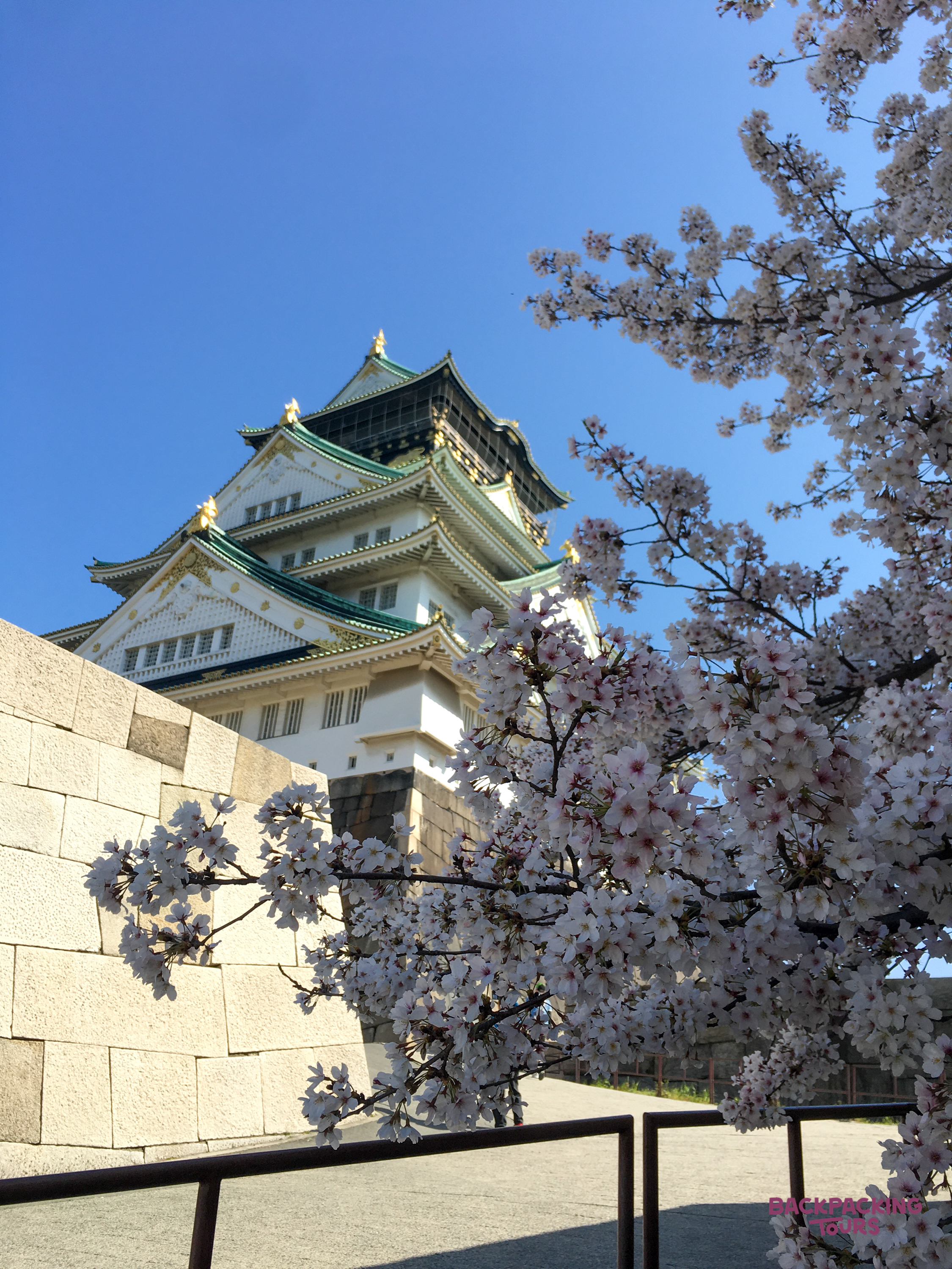Osaka Castle's majestic architecture peeks through a cascade of delicate cherry blossoms on a clear day.