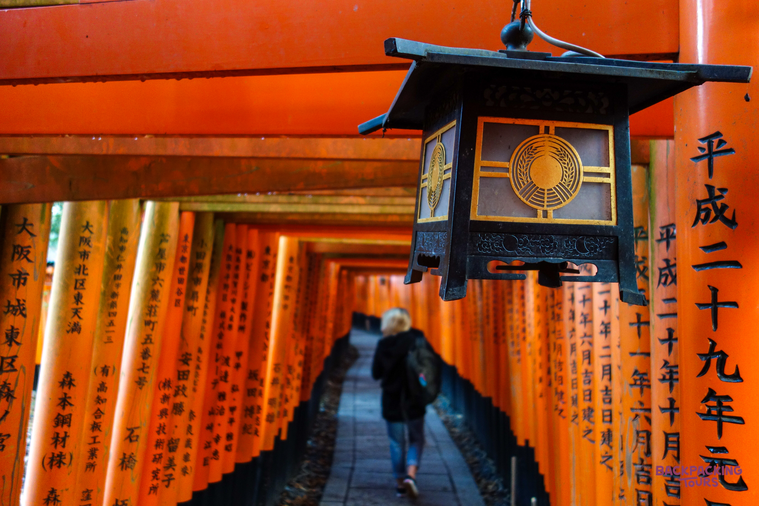 A traveler walks through the endless orange torii gates of Fushimi Inari Shrine in Kyoto.