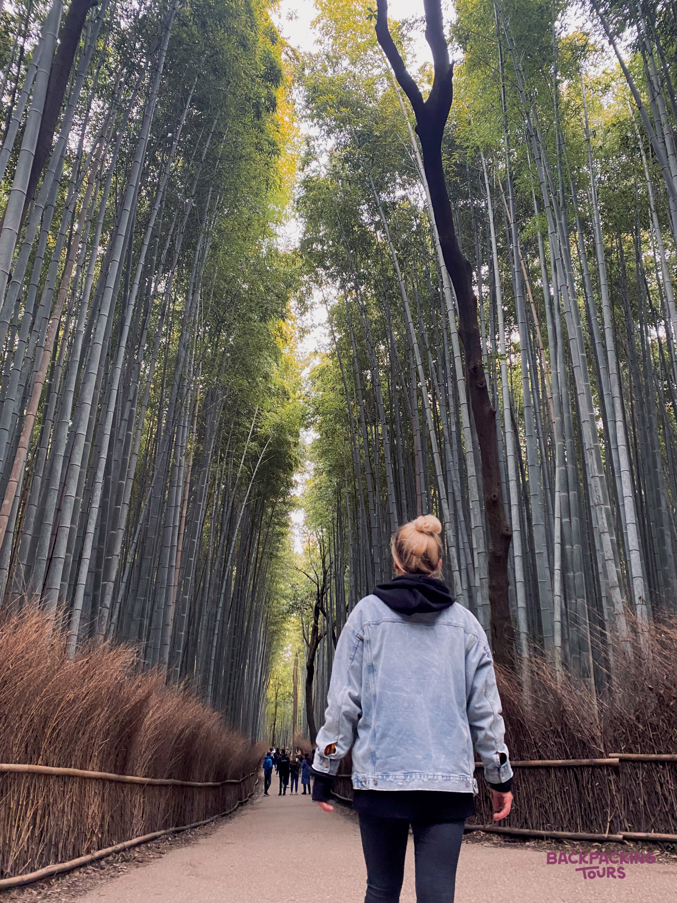 A person walks through the towering bamboo forest of Arashiyama, Japan, on a serene path.