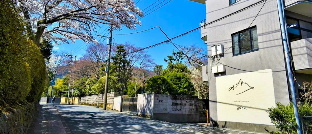A quiet street in Hakone with cherry blossoms, a modern building, and clear blue sky.