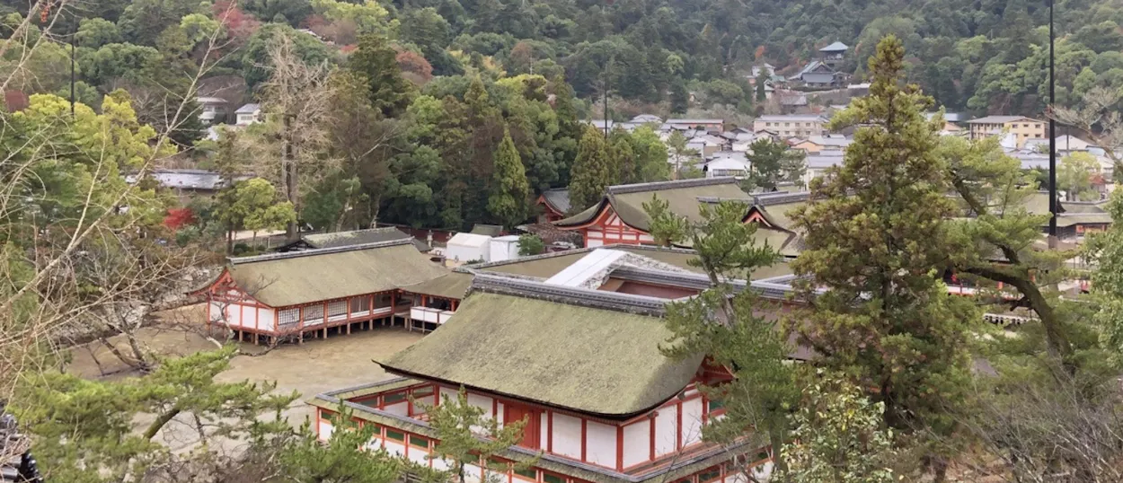 Traditional Japanese temple buildings with green roofs nestled among lush trees in Koyasan.