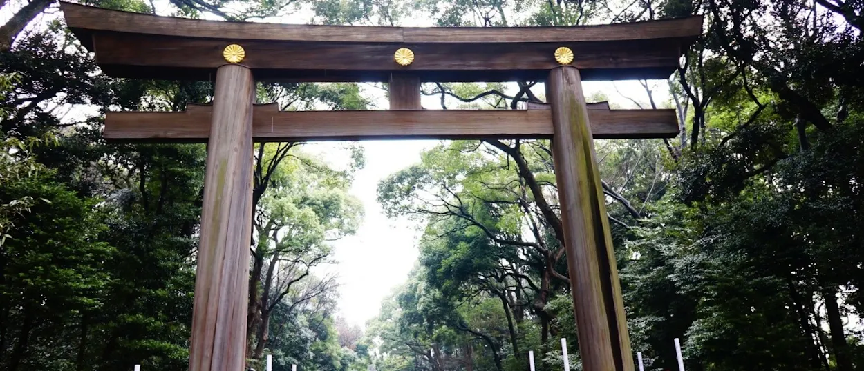 A grand wooden torii gate with golden emblems stands amidst lush trees at Meiji Shrine, Tokyo.