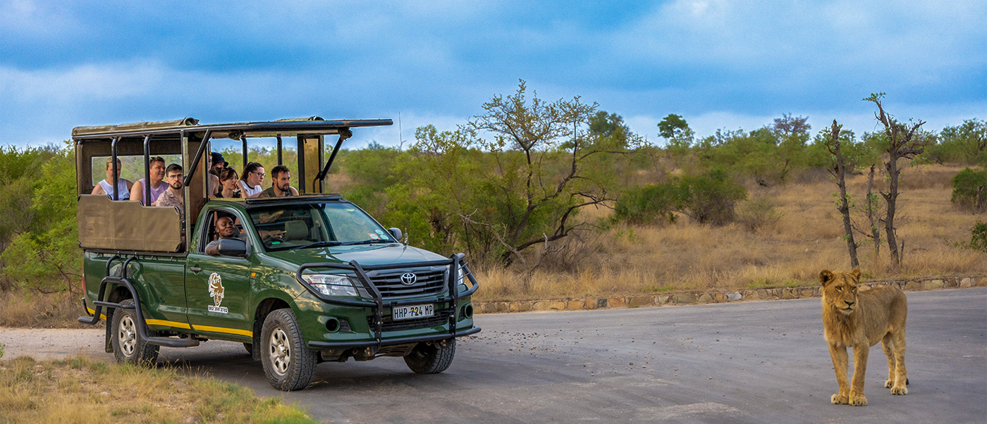 Jeep Safari