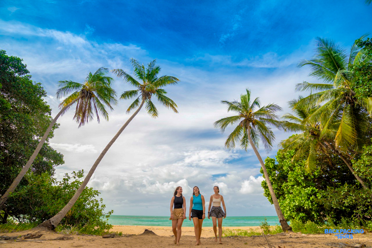 Three friends enjoy a leisurely walk on the sandy shores of Magnetic Island, framed by palm trees.