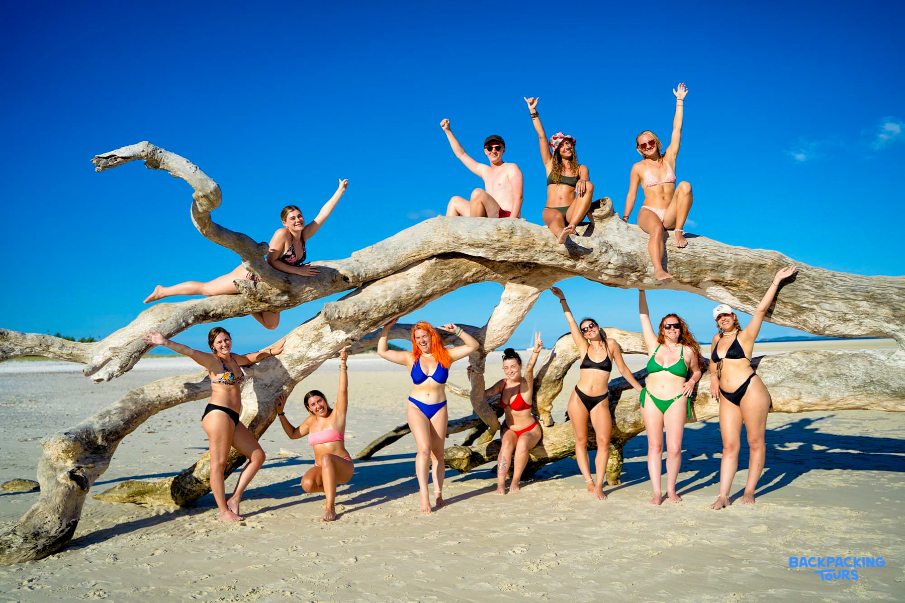 Happy backpackers pose on a large bleached tree trunk on Whitehaven Beach in the Whitsundays.