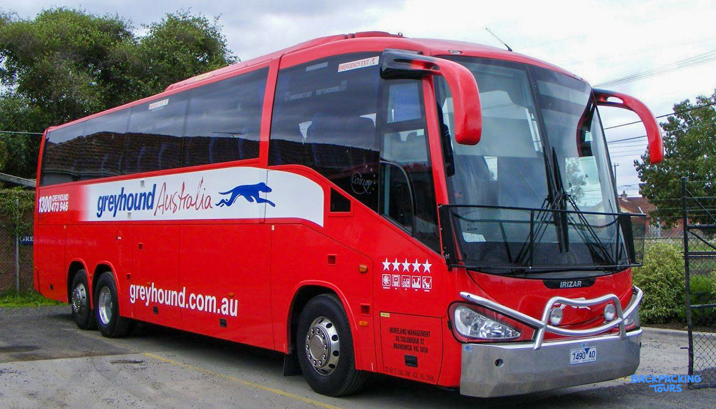 The comfortable red Greyhound Australia bus, ready for your overnight trip to Byron Bay.