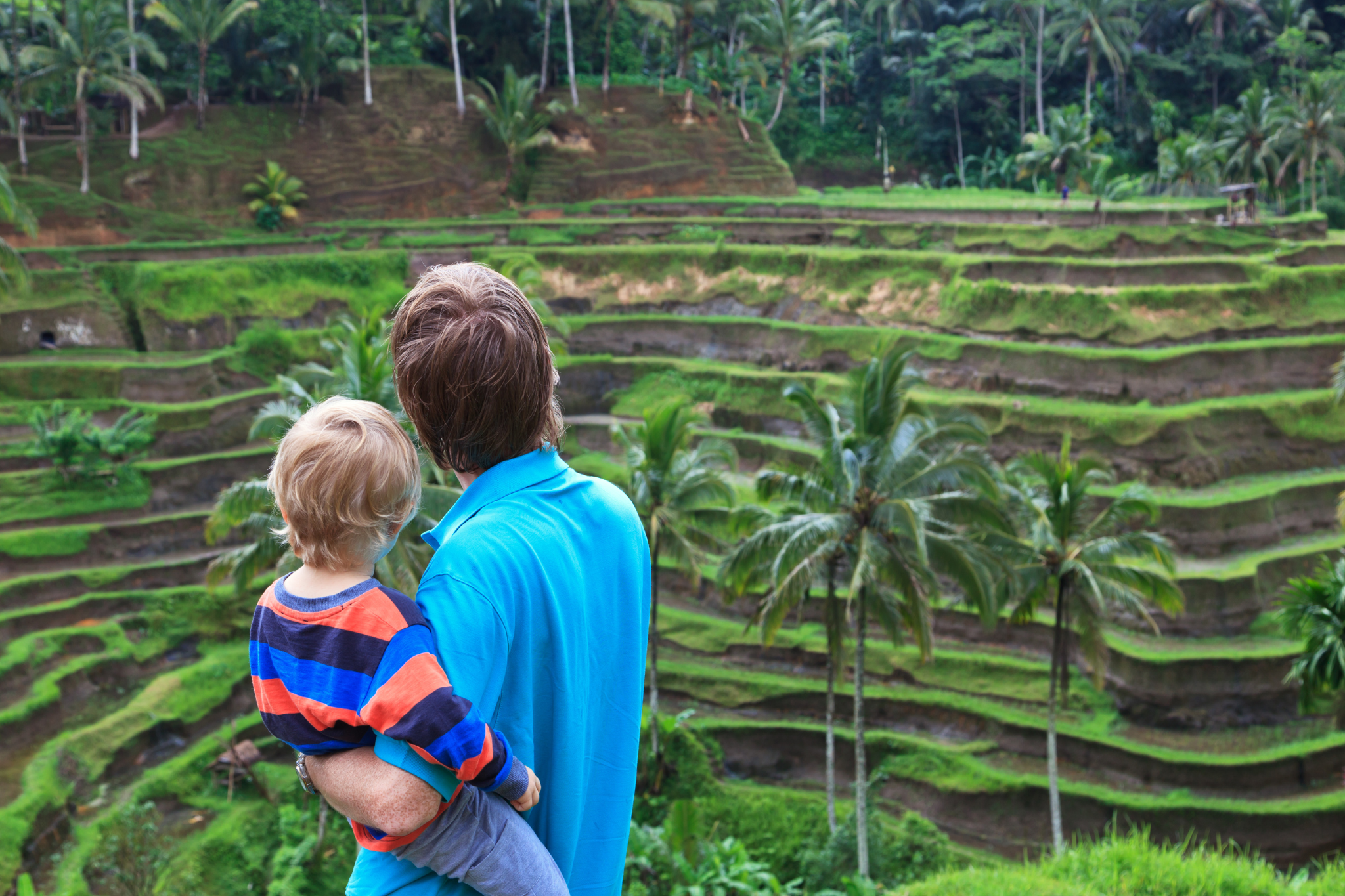 A parent holds a child, admiring the vibrant green terraced rice fields in Ubud, Bali.