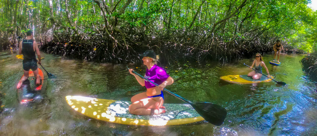 Friends paddle through a serene mangrove forest on stand-up paddleboards in Nusa Lembongan, Bali.