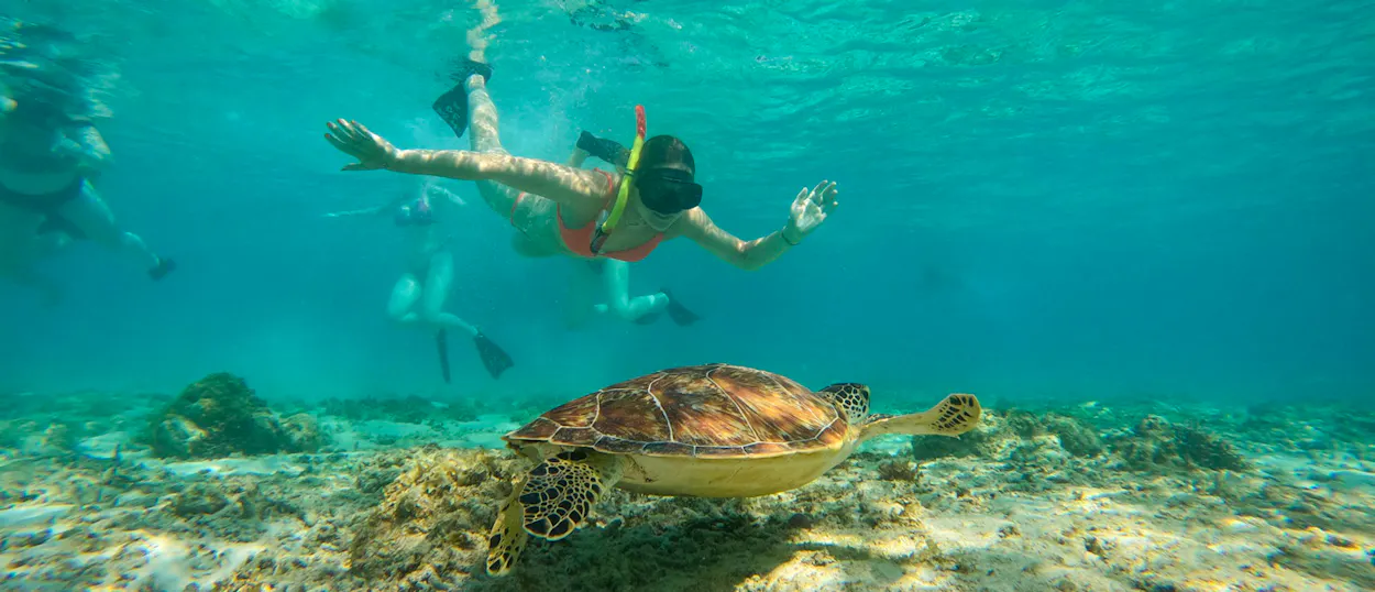 Snorkelers swim with a sea turtle in the clear blue waters of Gili Trawangan, Indonesia.
