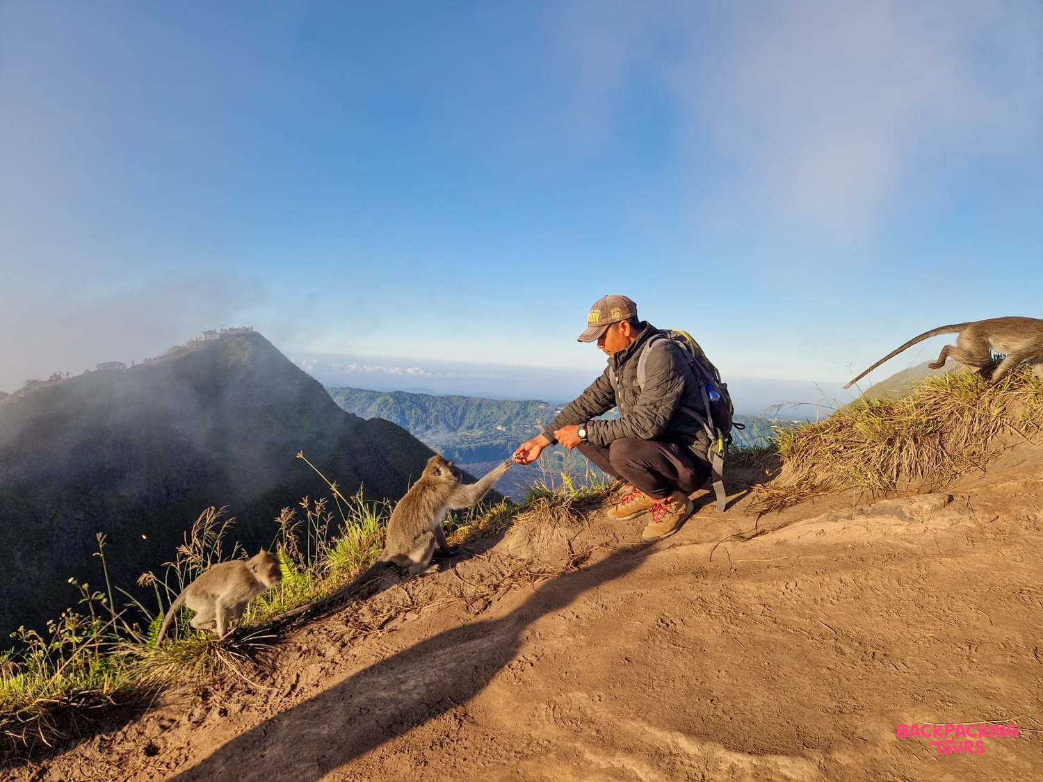 A hiker interacts with monkeys on Mount Batur's summit, with panoramic views of the volcanic landscape.