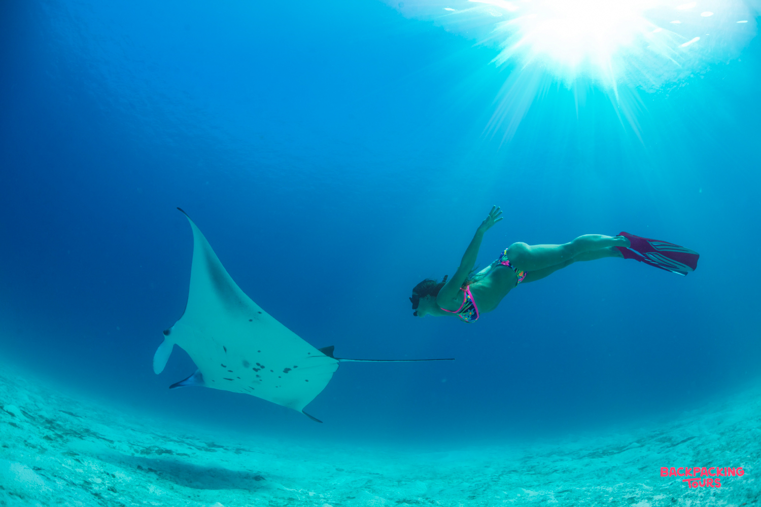 A snorkeler swims alongside a majestic manta ray in the clear blue waters of Nusa Penida.