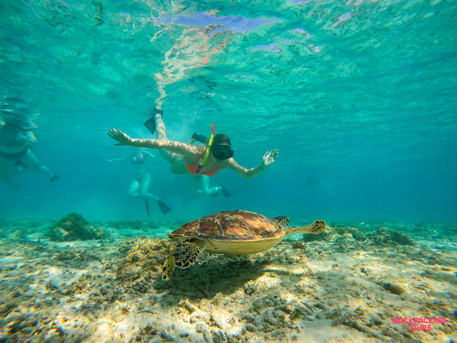 A snorkeler swims with a sea turtle in the clear turquoise waters of Gili Trawangan.