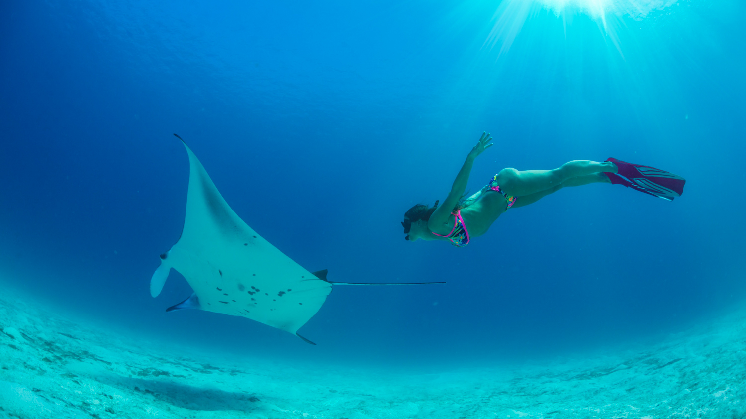 A woman swims gracefully alongside a large manta ray in the vibrant waters of Bali.