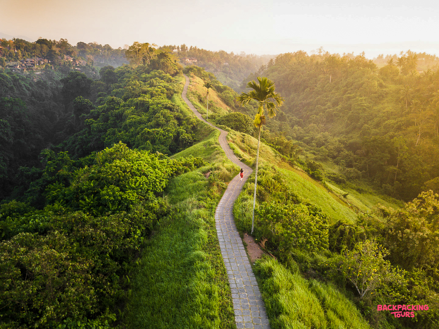 A person enjoys a peaceful sunrise walk along the winding Campuhan Ridge in Ubud, Bali.