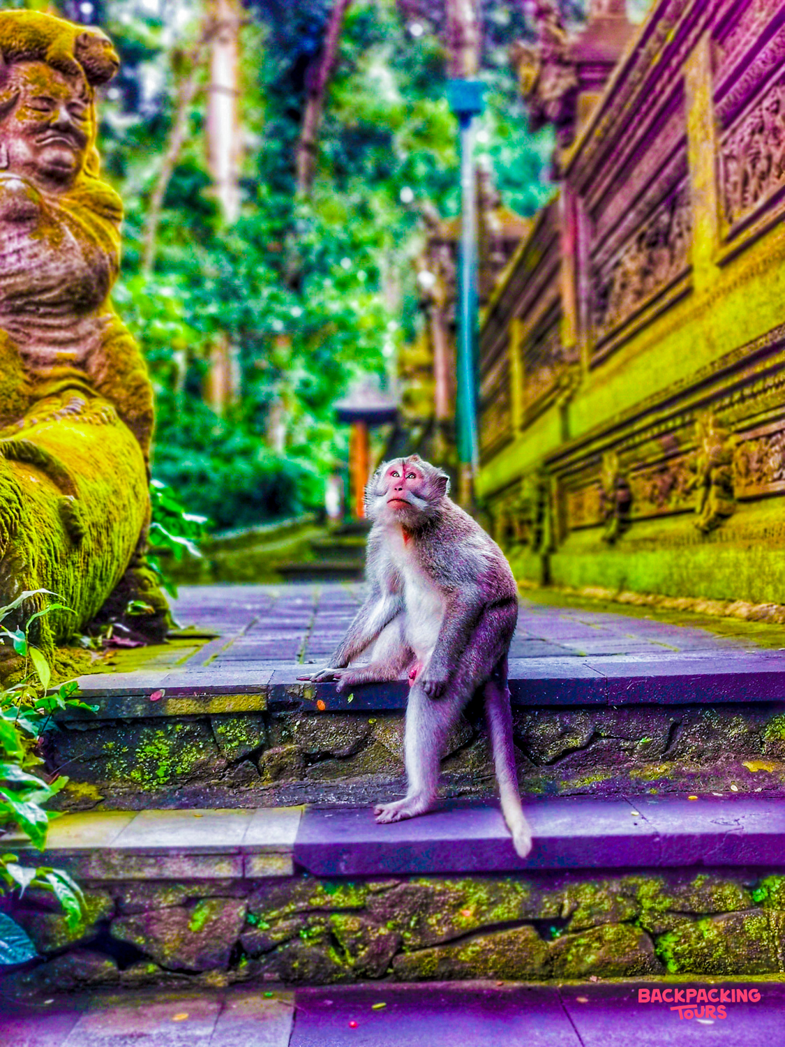 A curious monkey sits on moss-covered stone steps within Ubud's Sacred Monkey Forest Sanctuary.