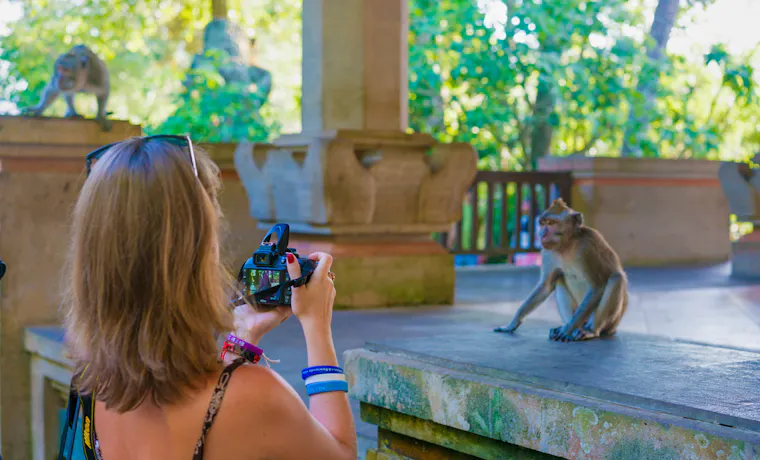 A woman photographs a playful monkey on a stone ledge in Ubud's Sacred Monkey Forest Sanctuary.