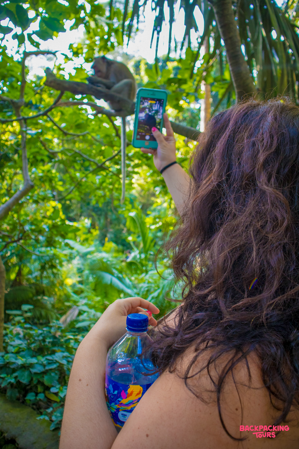 A traveler captures a photo of a monkey in the lush Sacred Monkey Forest Sanctuary in Ubud.