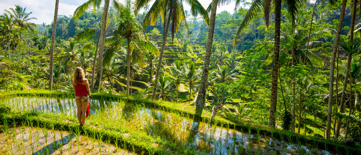 A woman stands admiring the vibrant green rice terraces and lush jungle in Ubud, Bali.