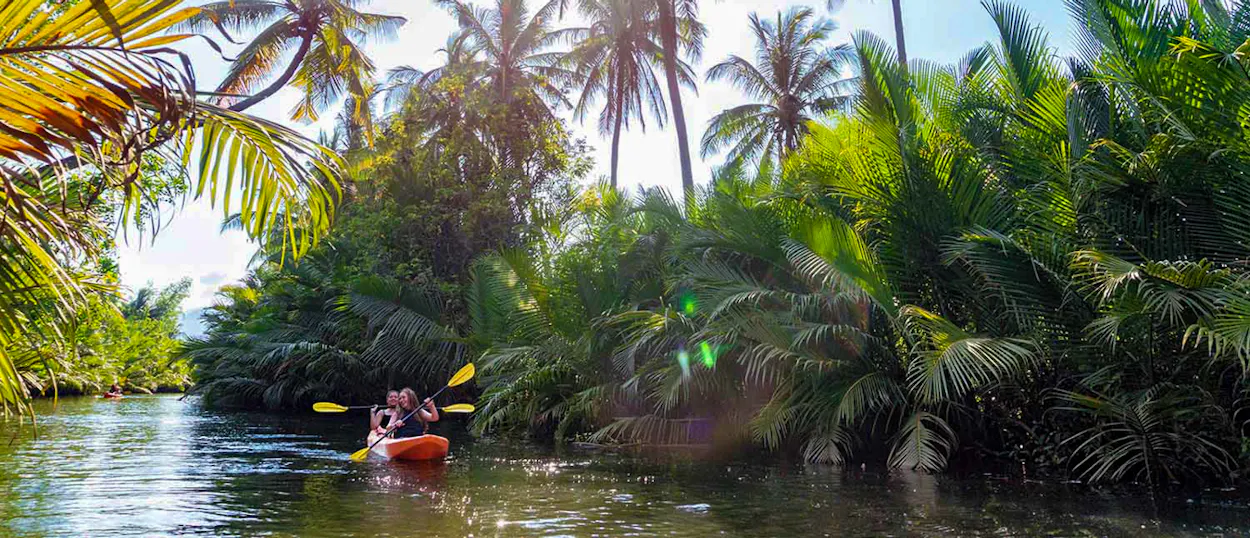 Two people kayak on a calm river surrounded by lush tropical greenery and palm trees in Kampot.