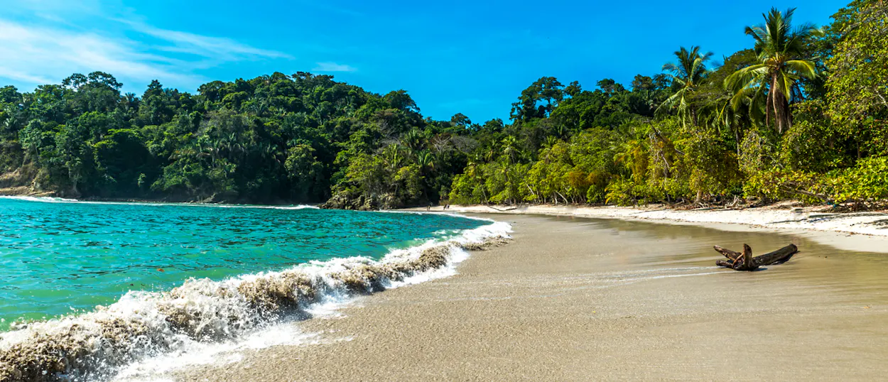 Turquoise waves gently lap a white sand beach with dense jungle in Manuel Antonio National Park.