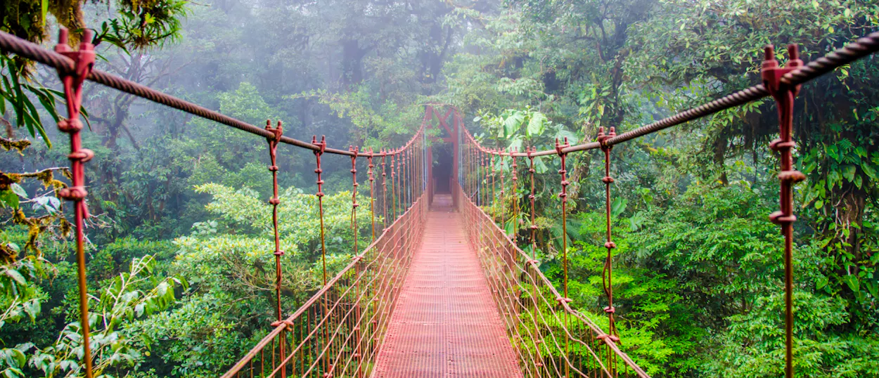 A long, reddish-brown hanging bridge stretches into the mist through a lush Costa Rican rainforest.