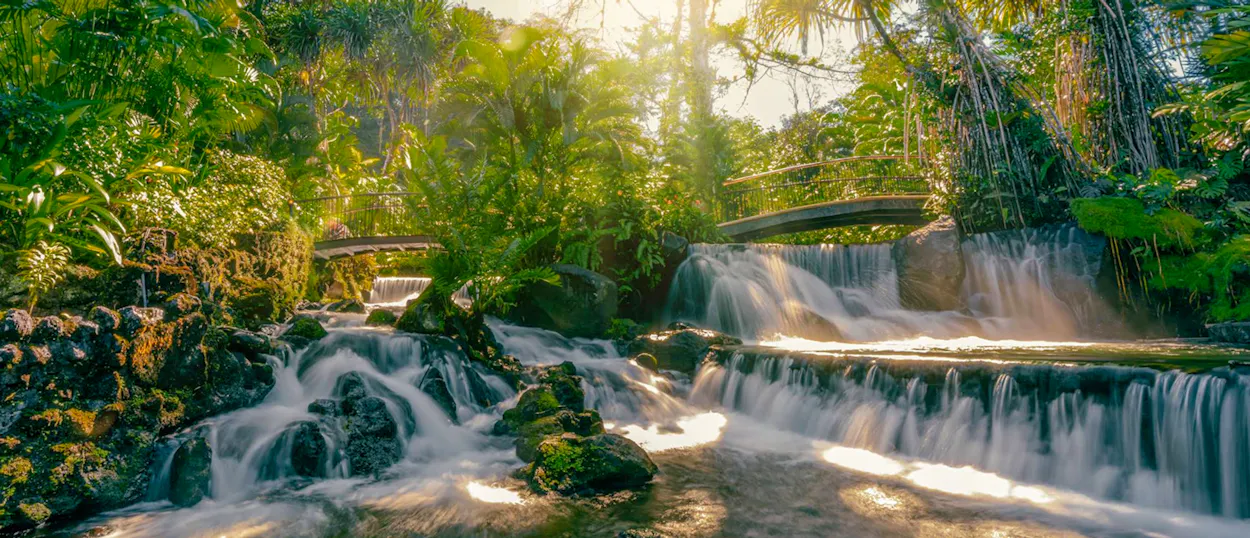 Sunlight streams through the canopy onto tiered waterfalls and natural hot springs in Costa Rica.