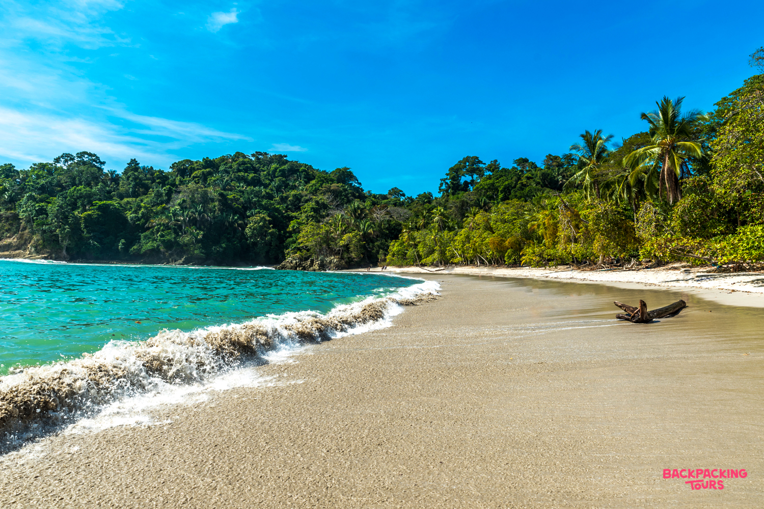 Beautiful white sand beach with turquoise water and lush jungle at Manuel Antonio National Park.