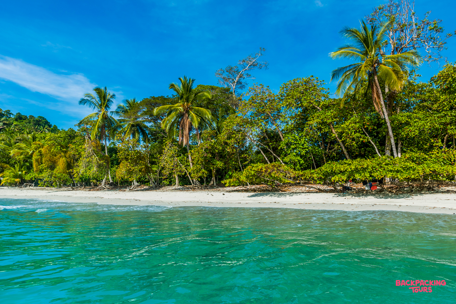 A pristine white sand beach with clear turquoise water and lush jungle in Manuel Antonio National Park.
