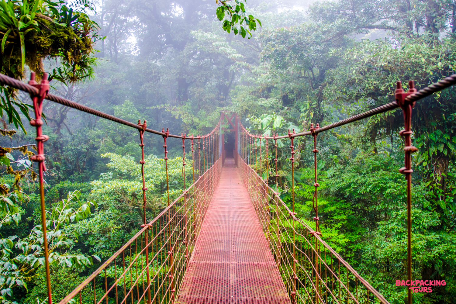 Explore the dense, misty Costa Rican rainforest from a vibrant red hanging bridge.