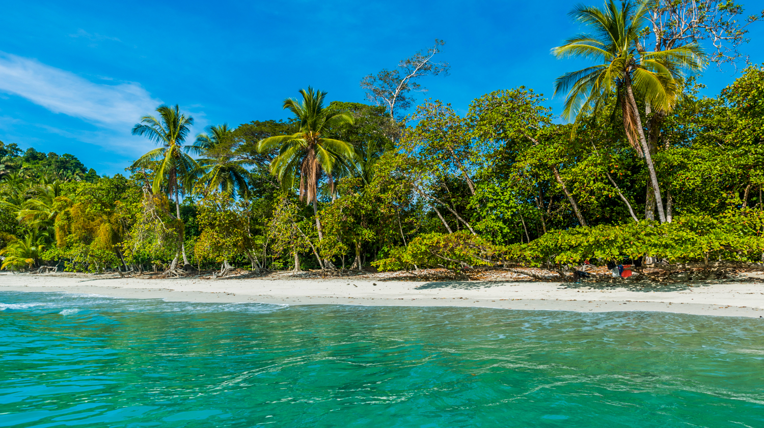A pristine white sand beach with turquoise water and lush tropical jungle in Costa Rica.