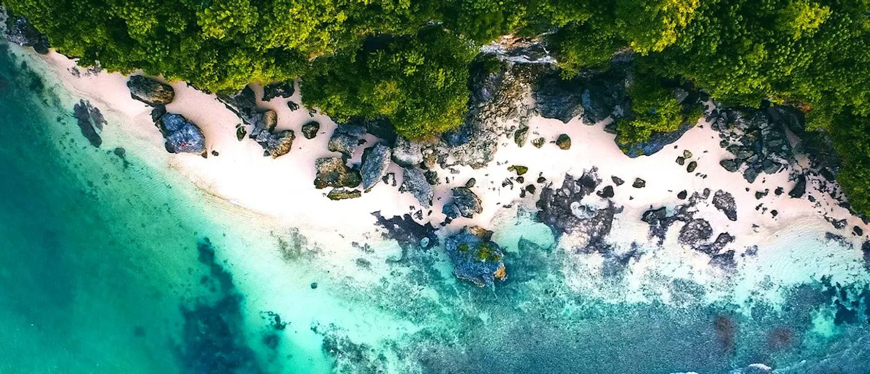 Lush green trees line a white sandy beach with scattered rocks beside clear turquoise ocean water.