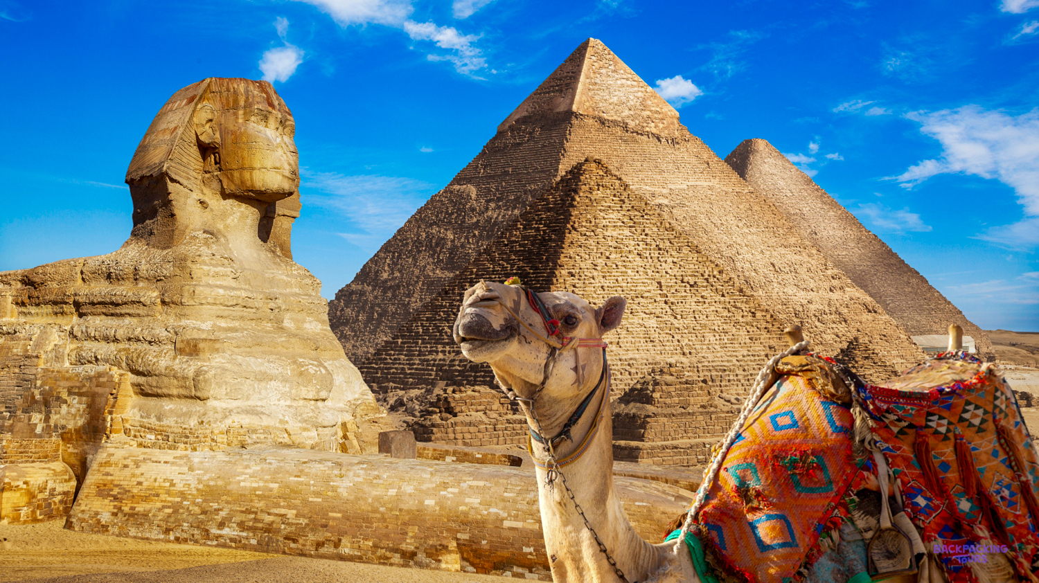 A camel with a colorful saddle stands before the majestic Sphinx and ancient pyramids in Giza, Egypt.