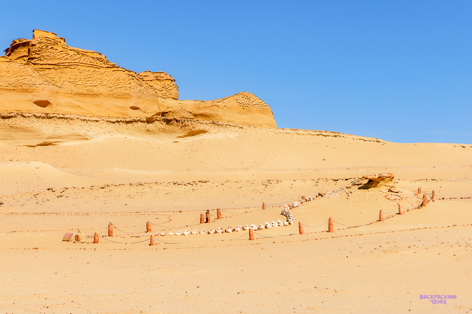 Ancient whale fossils displayed across the golden desert landscape of Wadi al Hitan, Egypt.