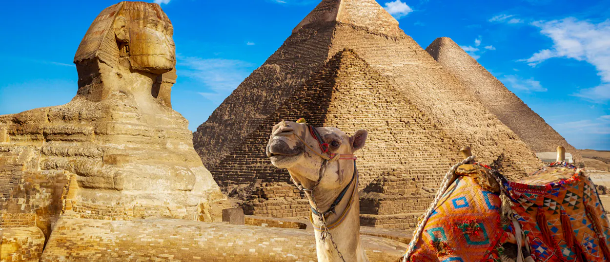 A camel with a colorful saddle in front of the Great Sphinx and Giza Pyramids in Egypt.
