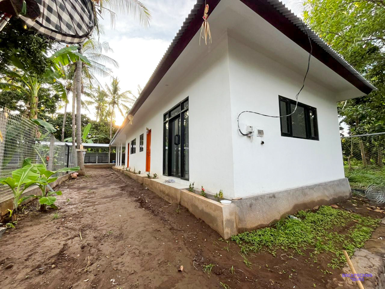 The animal care centre's white building, with orange doors, beside a garden path under palm trees.
