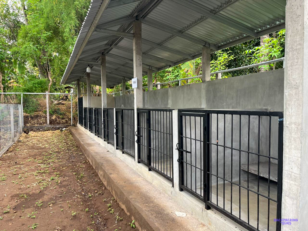 A row of covered dog kennels with black barred gates runs along a concrete walkway.