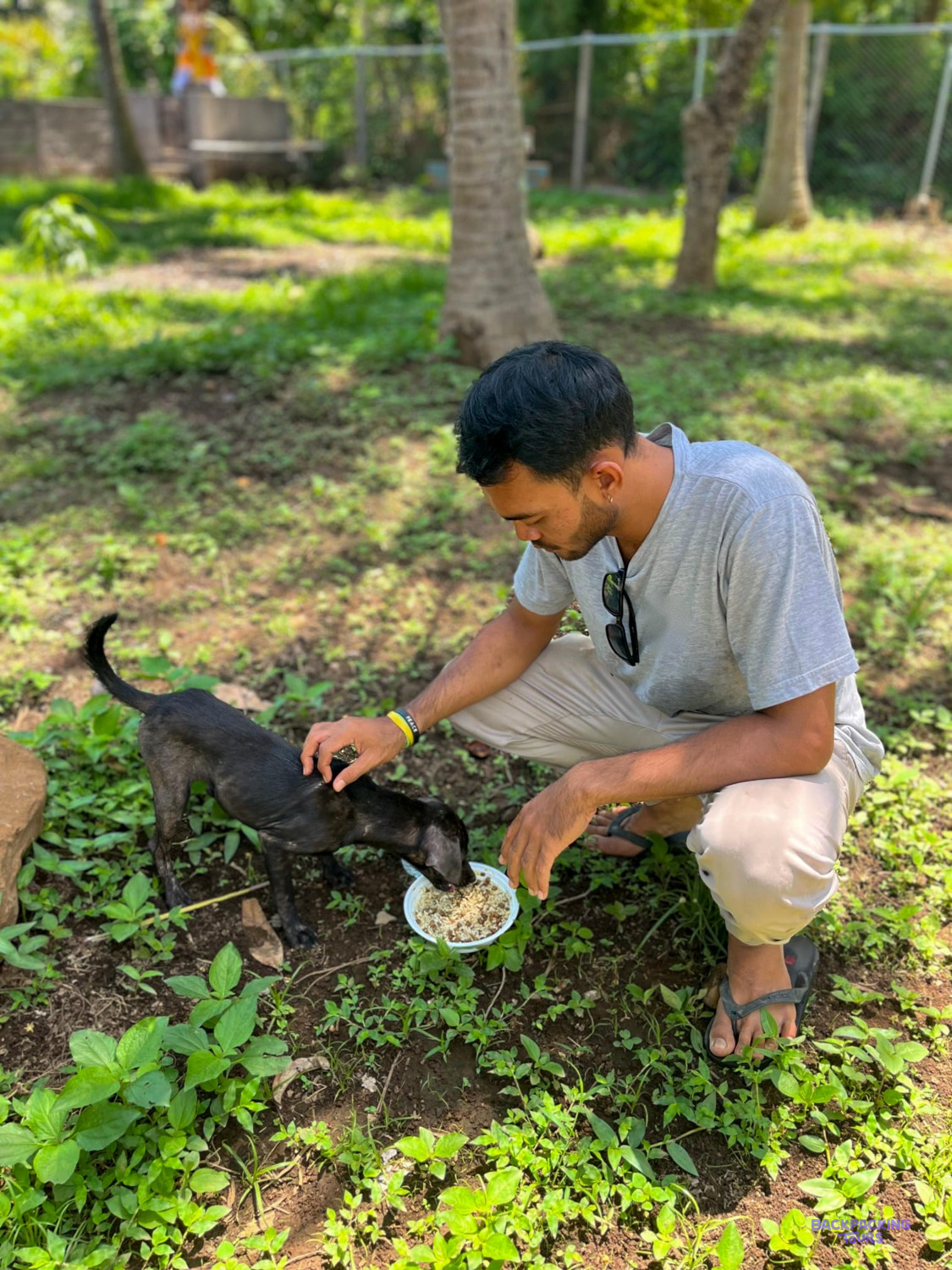 A member of the local team crouches on the grass to feed a black dog from a bowl.